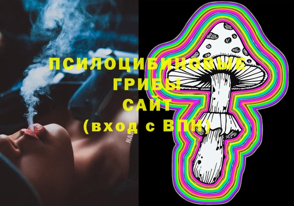 ПСИЛОЦИБИНОВЫЕ ГРИБЫ Абинск