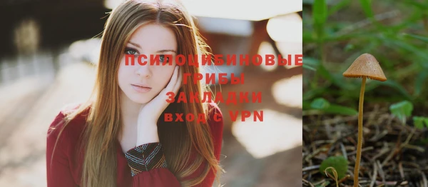 ГАЛЛЮЦИНОГЕННЫЕ ГРИБЫ Алексин