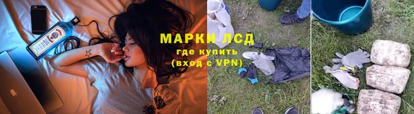 ГАЛЛЮЦИНОГЕННЫЕ ГРИБЫ Алексин