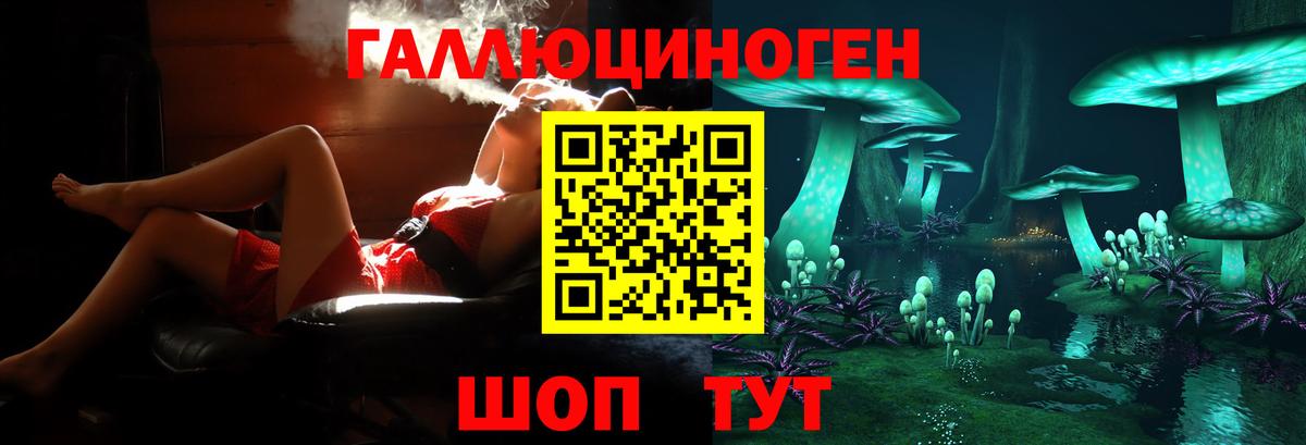 даркнет сайт  Галлюциногенные грибы ЛСД  Вход с VPN  Грязи  Псилоцибиновые грибы ЛСД 